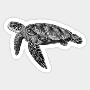 Sea Turtle Sticker